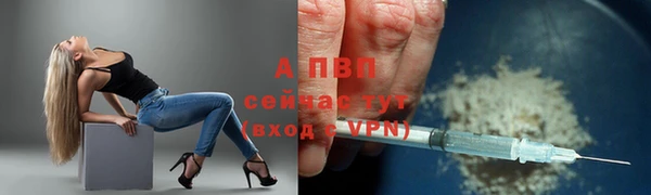 трава Беломорск