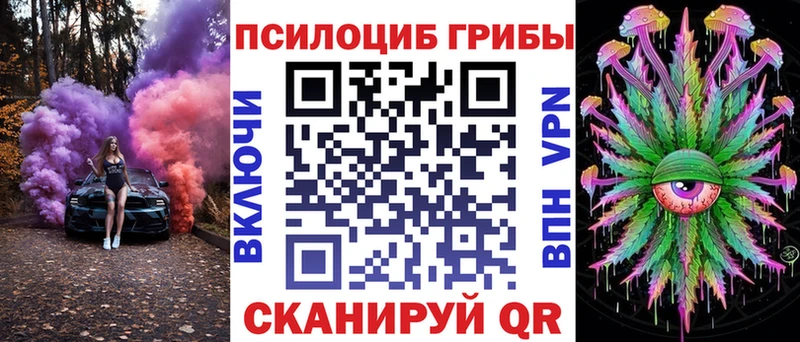 Купить  Лыткарино  Псилоцибиновые грибы MAGIC MUSHROOMS 